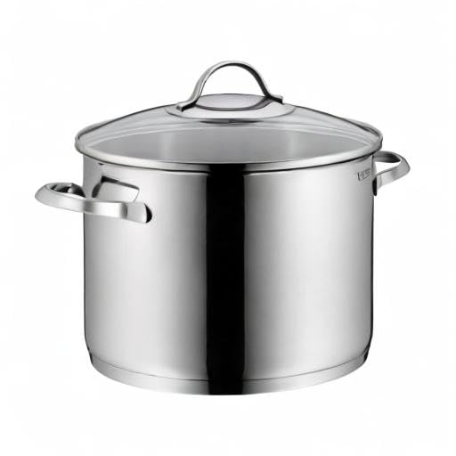 WMF Provence Plus Vegetable Soup Pot Induction 24cm, glass lid, large cooking pot 8.8l, polished Cromargan stainless steel, uncoated large pot, oven-safe