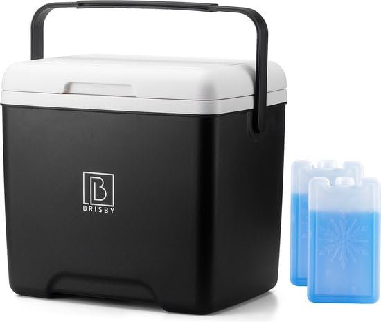 Brisby Cooler Box 13 liters - keeps warm for 18 hours - stays cool for 40 hours - includes 2 large cooling elements 450 ML - Cooler bag for work, camping, grilling, or vacation - BPA-free