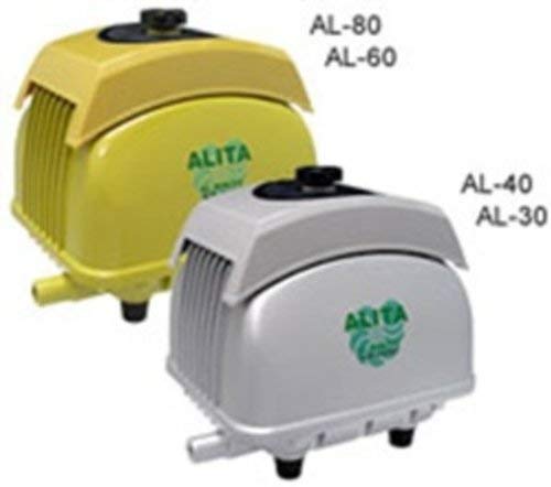 Alita Air Pump High-Blow AL-60, 60l/min at 1.5 meters, 18mm outlet, 54 watts, Green