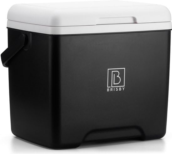 Brisby Cooler Box 13 liters - keeps warm for 18 hours - stays cool for 40 hours - includes 2 large cooling elements 450 ML - Cooler bag for work, camping, grilling, or vacation - BPA-free