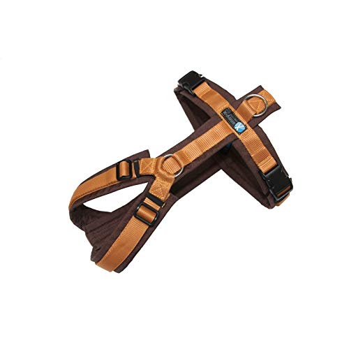 Anny-x harness Fun in brown amber - size S