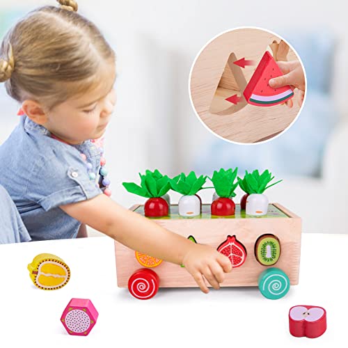 XIAPIA Montessori learning game for 4 5 6 years, educationally valuable for learning numbers, children's math learning toy made of wood, gift for preschool boys girls (carrot cart)