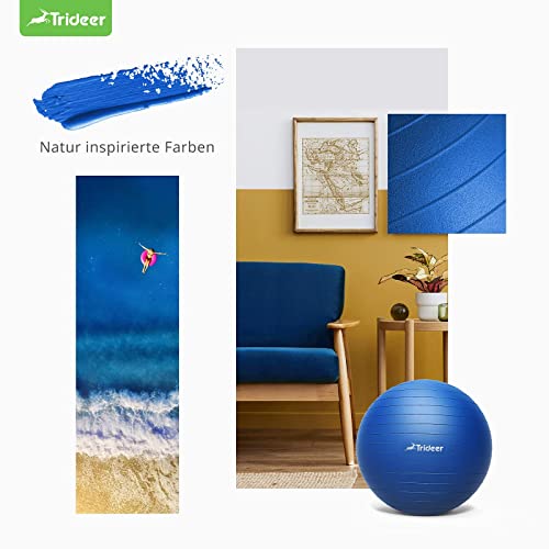 Trideer Thick Exercise Ball, Anti-Burst Pilates Ball, 45-85 cm yoga ball for balance, yoga as fitness equipment and balance chair in gym-home-office (L (58-65cm), ocean blue)