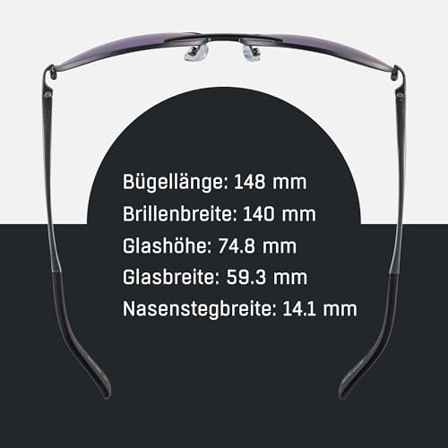 ALPINA A 107 - Mirrored and shatterproof sunglasses with 100% UV protection for adults, gun matte, One Size