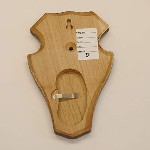 10 pieces of deer antler plaque trophy mounts with 1 jaw compartment in dark oak.