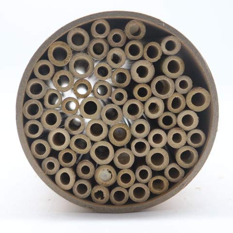 Great idea! 200 10cm length bamboo tubes filled with material for insect hotel. Winter content for wild bee nesting aid hanging insect house for garden balcony. Filling for wild bee insects.