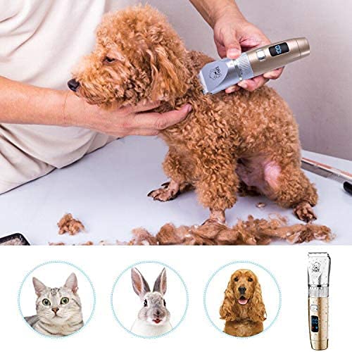Hatteker pet hair clipper trimmer for dogs and cats, professional grooming tool with rechargeable battery, cordless and low noise design.