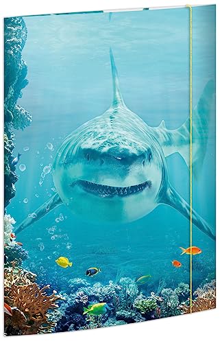 RNK 45358-3 - Character folder Shark Project 310 x 440 mm, 3 pieces, DIN A3, with elastic closure