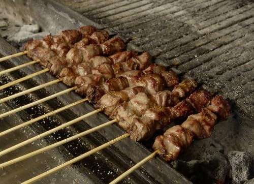 Fabermec Barbecue Skewer Grill Charcoal Grill for Meat Skewers, Sausages, Skewers 110 cm made of iron, made in Italy.
