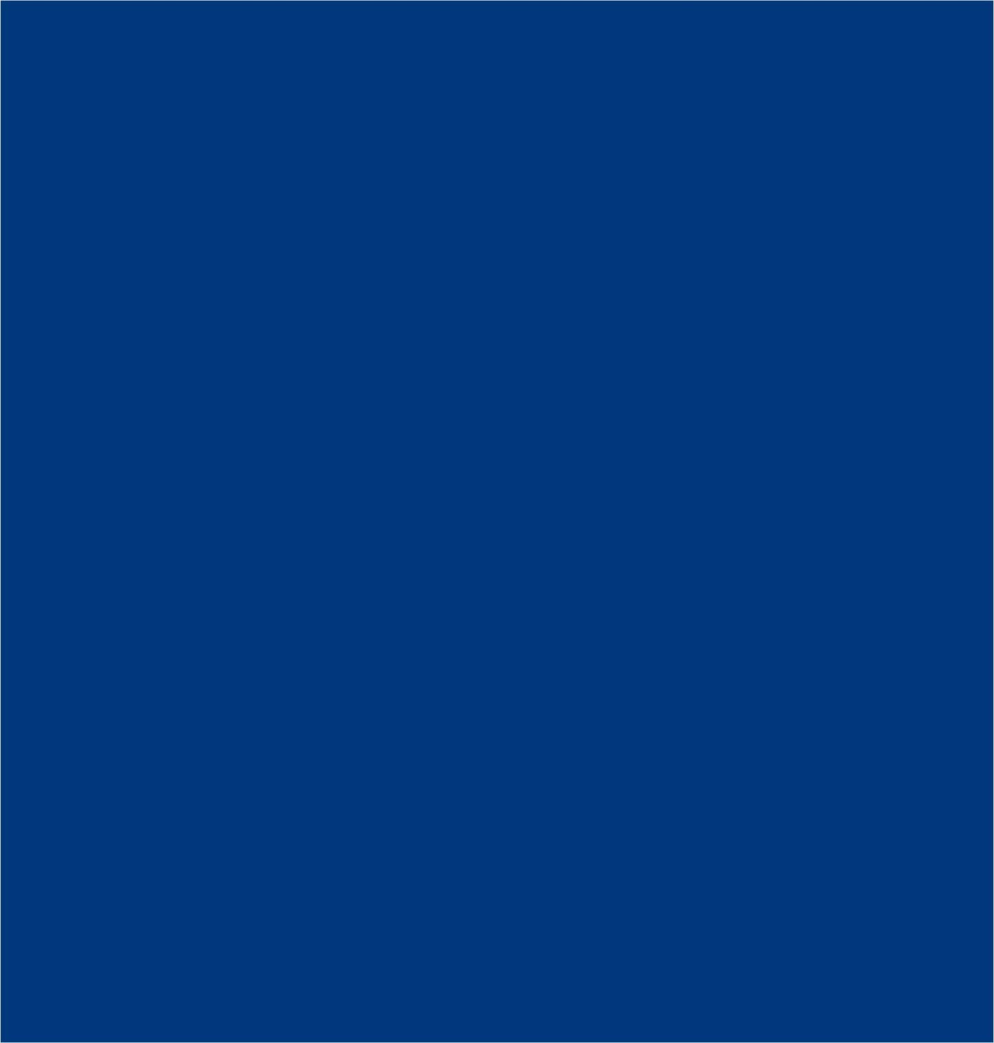 2K pool paint pool coating swimming pool paint - ultramarine blue like RAL 5002-2.5kg