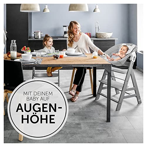 Hauck 2in1 Baby Bouncer & Newborn Set for Alpha+ & Beta+ Wood Highchairs. Alpha Bouncer 2in1, for babies from birth up to 9 kg, with 3-point hip belt, head pillow, and rocking frame (Pastel Bear Light Grey).