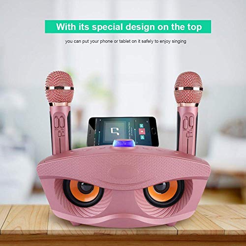 Portable karaoke machine, wireless Bluetooth speaker with 2 microphones Home karaoke party set for family home. Supports AUX TF card U disk FM radio. For children.