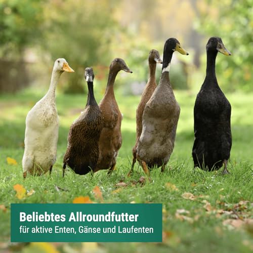 Agricultural zone Duck feed Runner ducks 25 kg - Austrian runner duck feed - 100% GMO-free & cleaned - Grain feed for wild ducks, ducks & geese