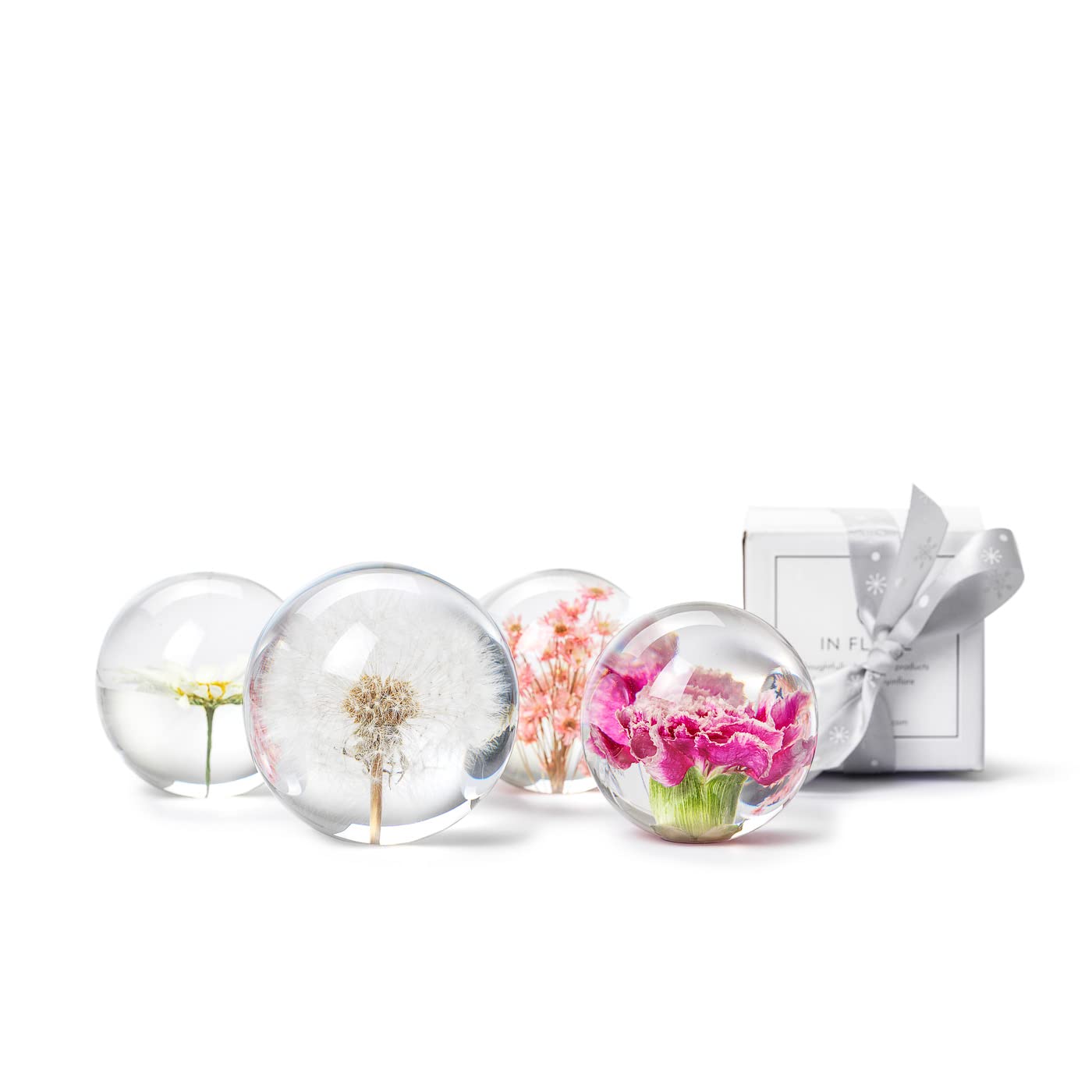 In Flore Dandelion resin glass paperweight, with real dandelion, 8 cm, white.