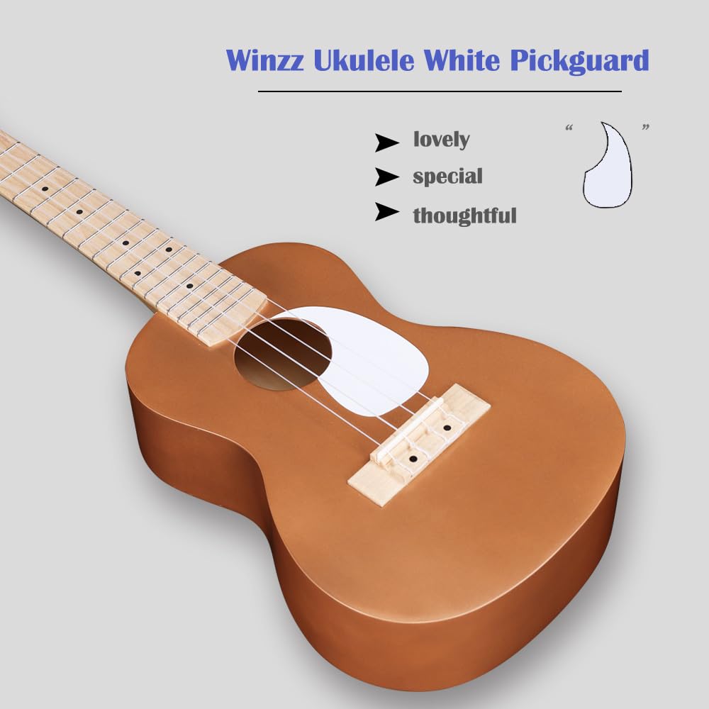 Winzz Ukulele Adult Beginner Set, Concert Ukulele 23 Inch, Kids Starter Kit with 9 Accessories (Color: Brown, Wood)