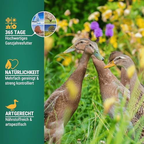 Agricultural zone Duck feed Runner ducks 25 kg - Austrian runner duck feed - 100% GMO-free & cleaned - Grain feed for wild ducks, ducks & geese