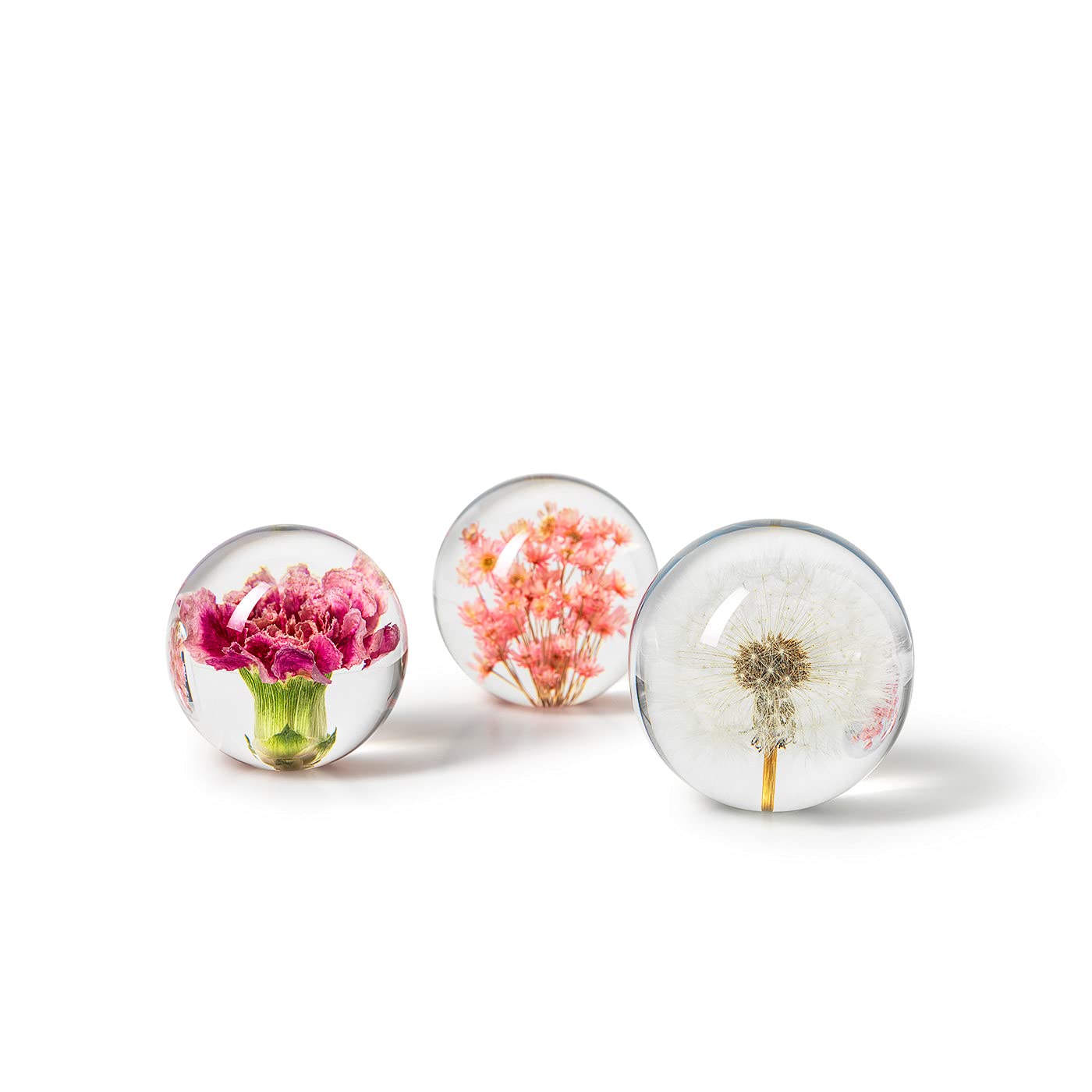In Flore Dandelion resin glass paperweight, with real dandelion, 8 cm, white.