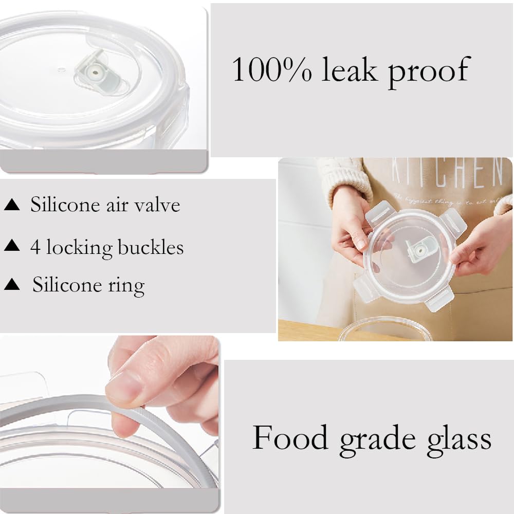 H.JSS WDJS Glass Soup Container, 520ml Food Storage with Lid, Round Glass Container with Lid, Reusable Containers, Meal Prep Glass for Food, Microwave, Freezer, Dishwasher Safe (4 pack)