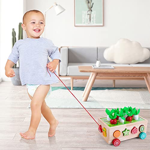 XIAPIA Montessori learning game for 4 5 6 years, educationally valuable for learning numbers, children's math learning toy made of wood, gift for preschool boys girls (carrot cart)
