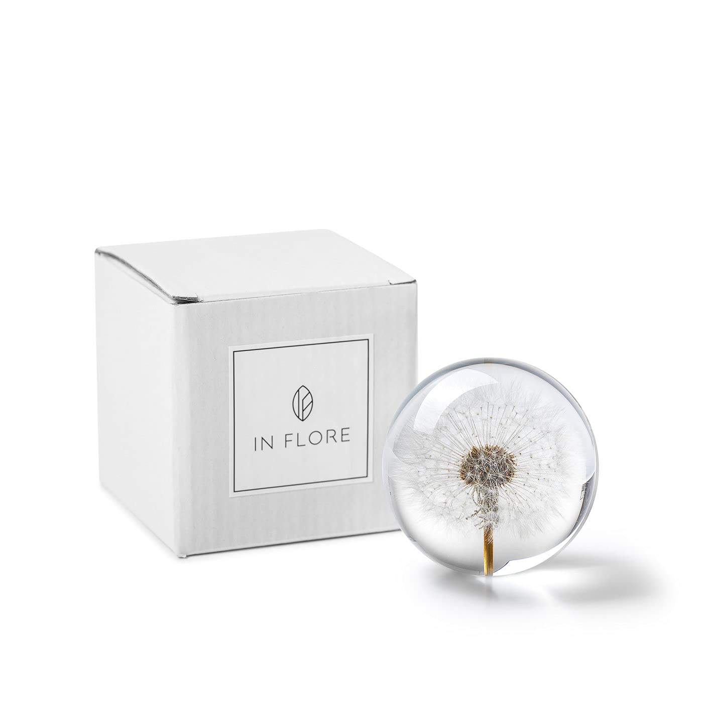 In Flore Dandelion resin glass paperweight, with real dandelion, 8 cm, white.