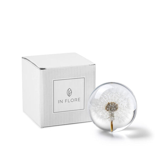 In Flore Dandelion resin glass paperweight, with real dandelion, 8 cm, white.
