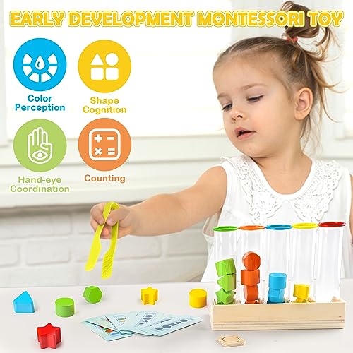 Joyreal Montessori Toy Sorting Game Counting Stacking Toy Wooden Learning Toy Shape Matching Game Gift for Kids Girls Boys 3 4 5 Years