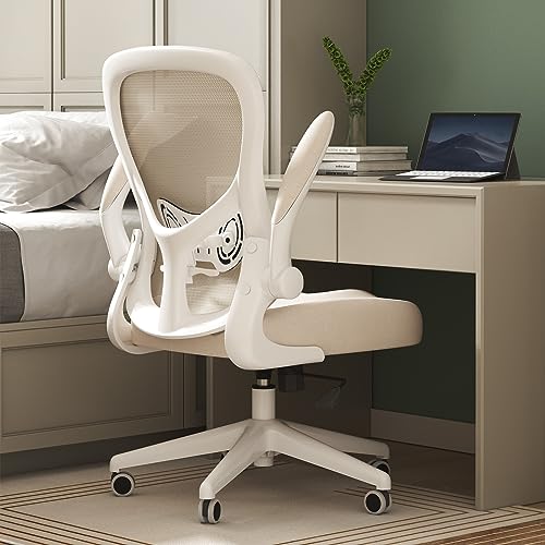 Hbada Office Chair Ergonomic, Desk Chair, Computer Office Chair with Foldable Armrest and Lumbar Support, Swivel Chair Adjustable Height, Gray