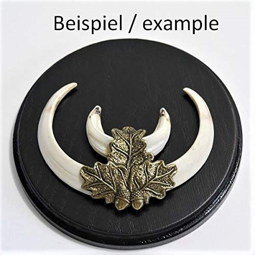 3-piece boar shield boar board weapon board trophy shield round dark AF 15 cm with 3 x oak leaf cover