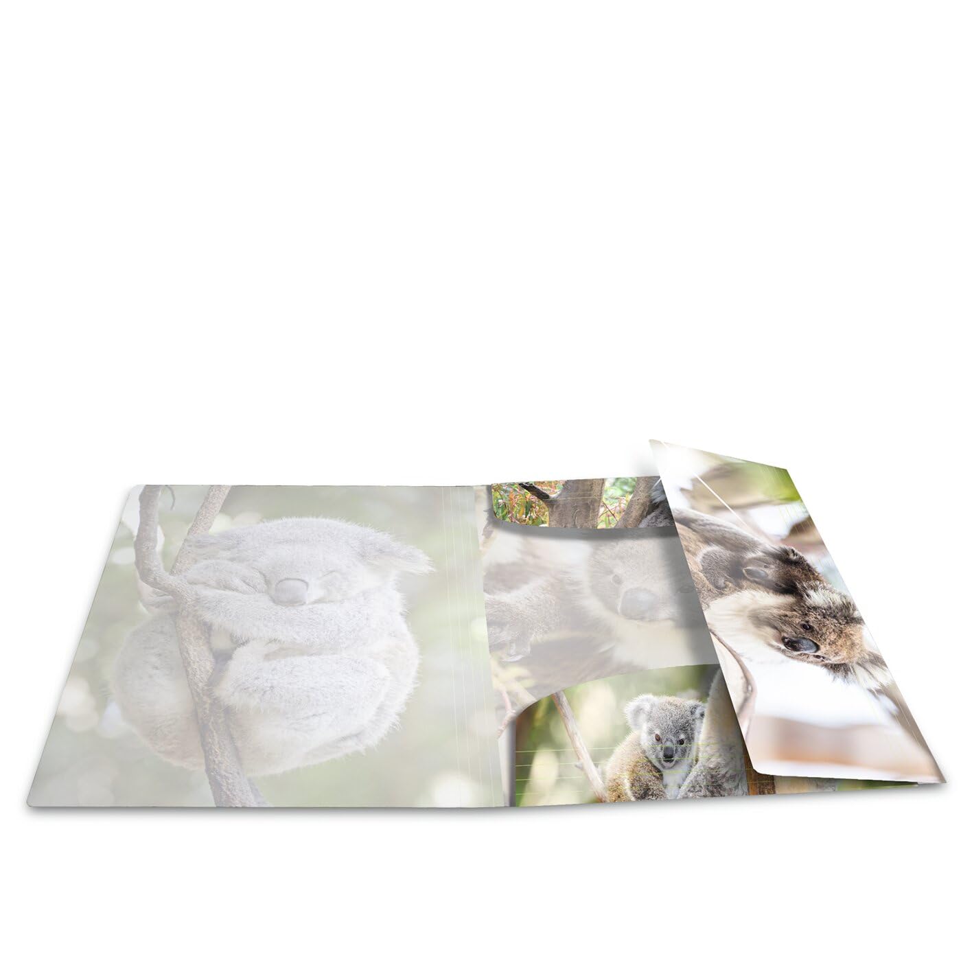 HERMA Folder A3 Koala, children's plastic corner clamp folder with animal motif, high gloss finish, elastic band, inner flaps and inner print for boys and girls.