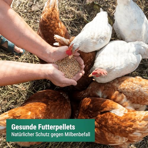Agricultural zone chicken feed against mites pellets 25 kg - Austrian chicken feed pellets - Effective protection against mites - 100% GMO-free with AMA quality seal.