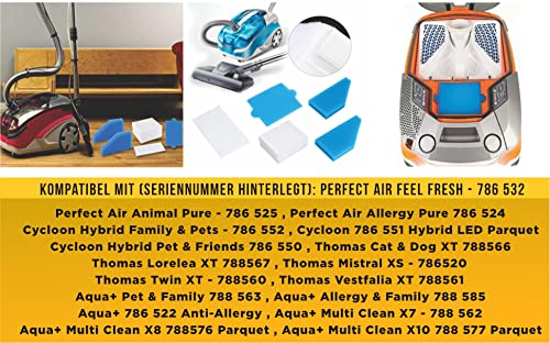 2x FILTER-SET complete (10 pieces) for Pet & Family, Allergy & Family, Multi Clean X8 Parquet, Multi Clean X10 Parq, X7, Thomas Aqua+ vacuum cleaners as an alternative to Thomas Filterset 99 (part no. 787241)