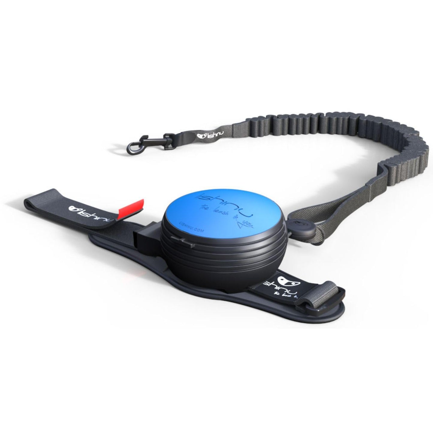 Lishinu3 Bungee with Full-Stop Blue L