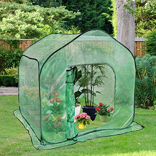 Tesmotor greenhouse overwintering tent for plants, Pop-Up greenhouse with roll-up, overwintering tent indoor outdoor flower pot cover 150x150x150CM