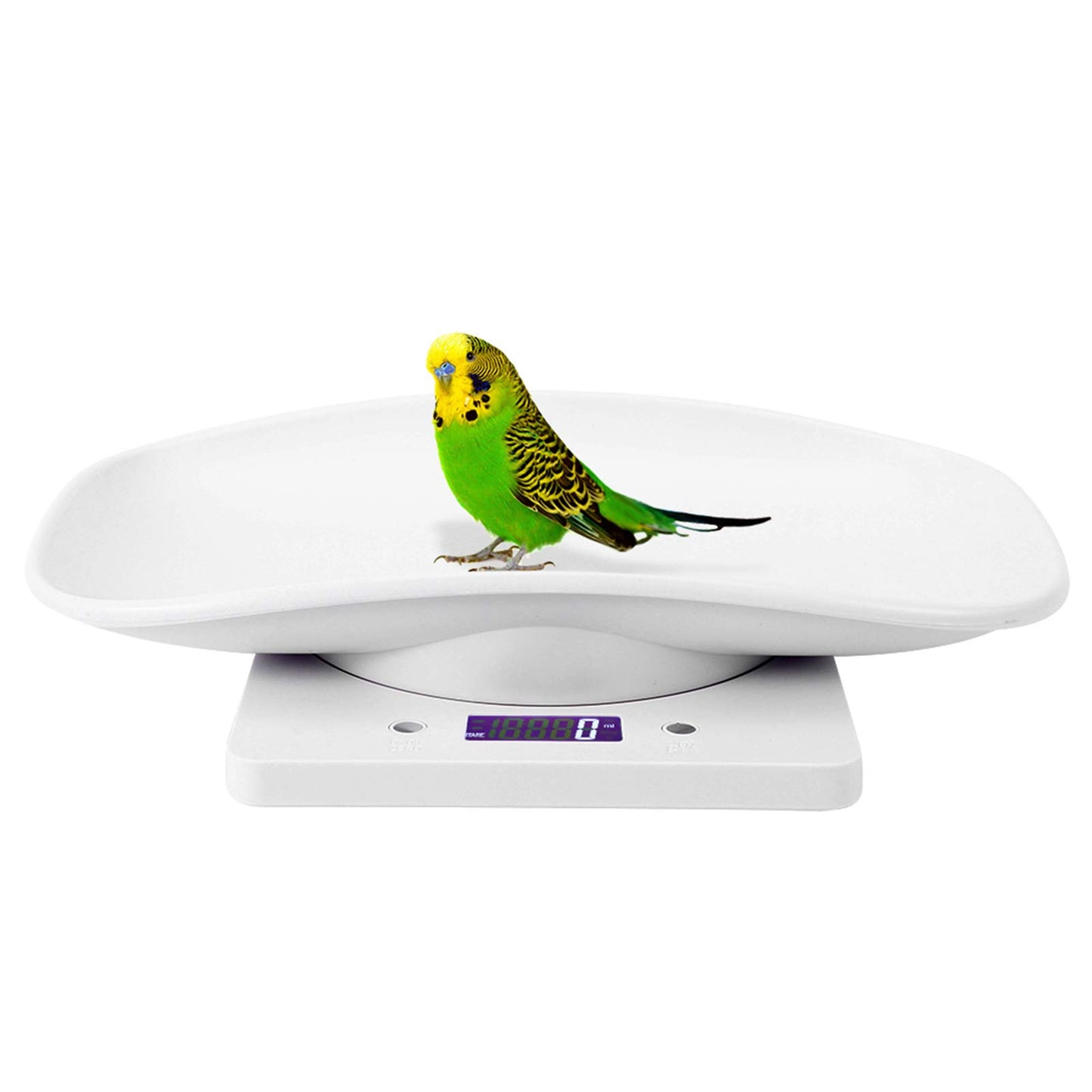 10 kg/1 g Digital LCD display for weighing infants with a toddler scale and non-slip pad for cats dogs measuring device electronic kitchen scale