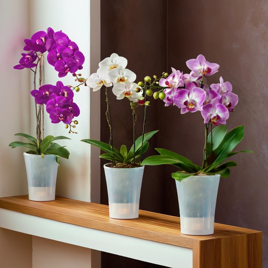 Santino 6-pack Orchid Pot Transparent with self-watering wick system - D 15 cm - Transparent - 2 L