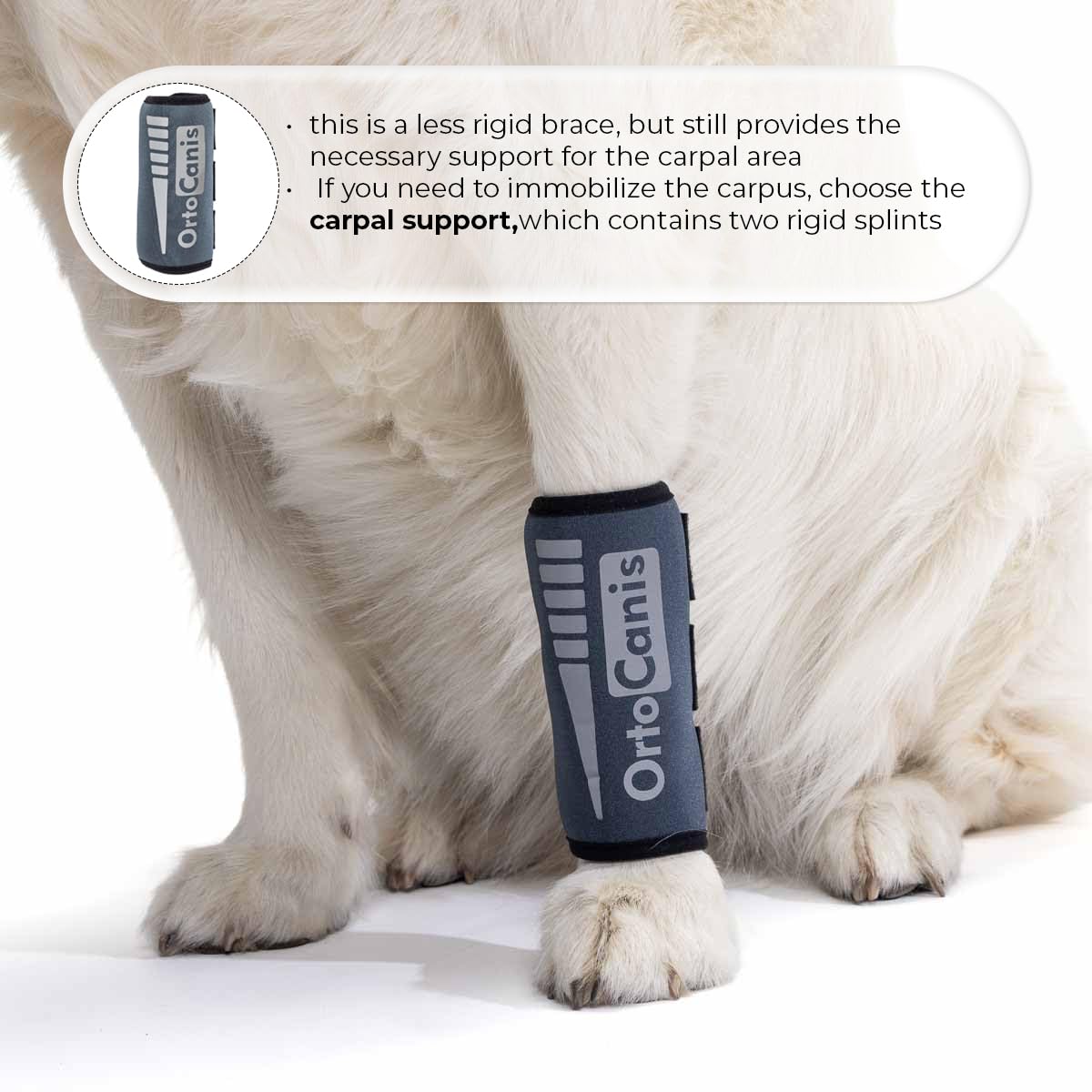 Ortocanis - Carpal Joint Brace for Dogs - Arthritis, ligament and tendon injuries or agility dogs - Made of Neoprene - Size M 14-16 cm
