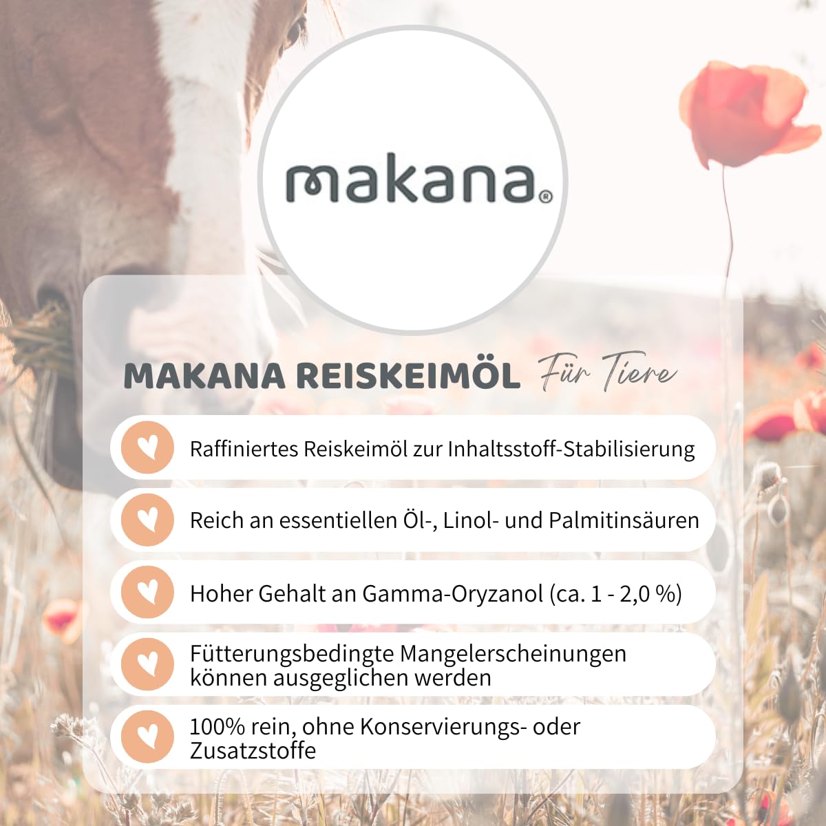 Makana Rice Bran Oil for Animals, refined and 100% pure, 5000 ml canister