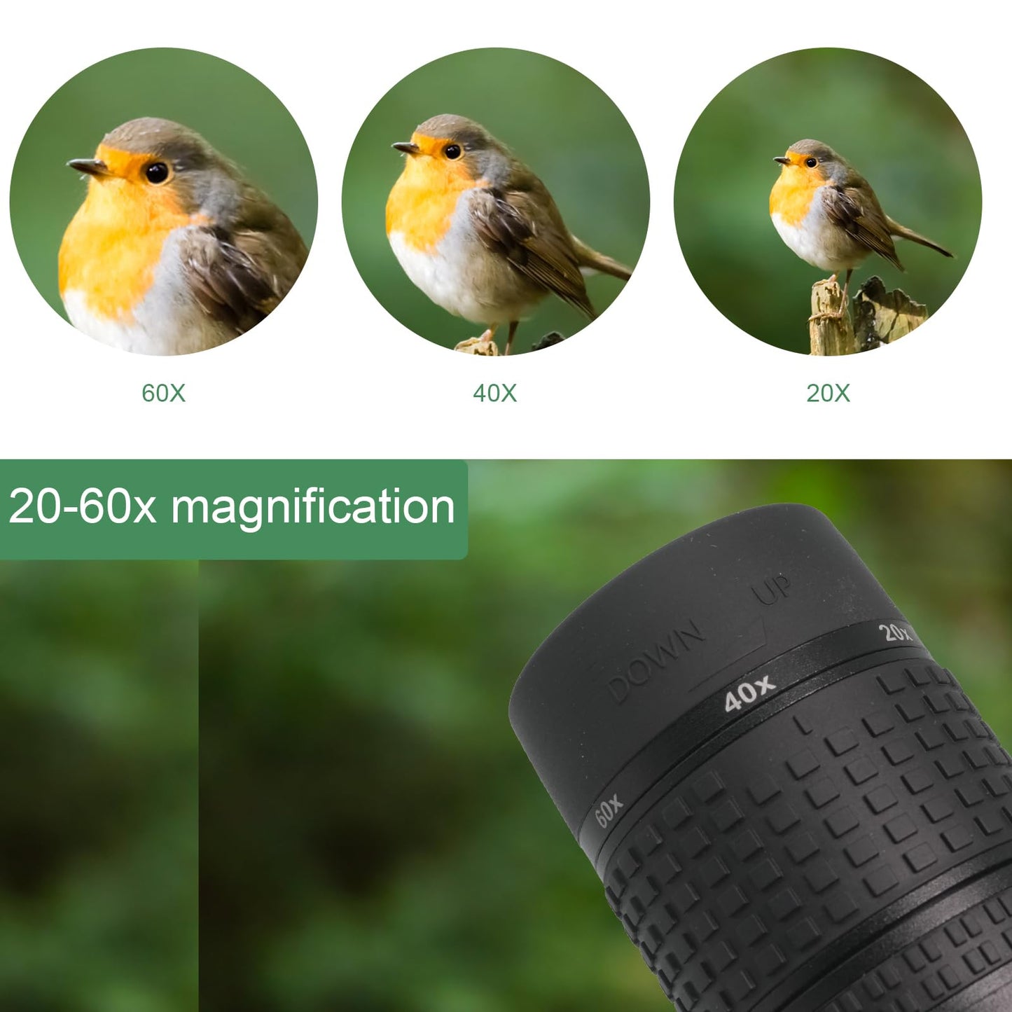 Spotting scope with tripod, 20-60X80 HD IPX7 waterproof scopes for bird watching. Comes with carrying case, FMC optics, angled Porro prism. Ideal for sports shooters, wildlife scenery.
