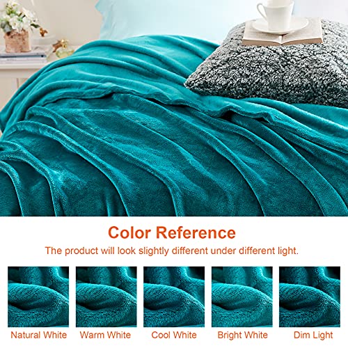 EHEYCIGA Fleece Blanket, King Size Flannel Blanket, Couch, Blue Green, 228 x 274 cm, Microfiber, Soft, Cozy, Lightweight Luxury Blanket.