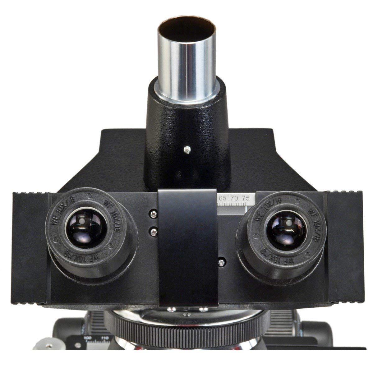 AmScope M837ZL-A191BD-C50U OMAX 40X-2500X 5MP Digital Advanced Oil NA1.25 Darkfield Trinocular Compound LED Microscope with 5.0MP Camera with Measurement, Stitching, and Extended Depth of Field.