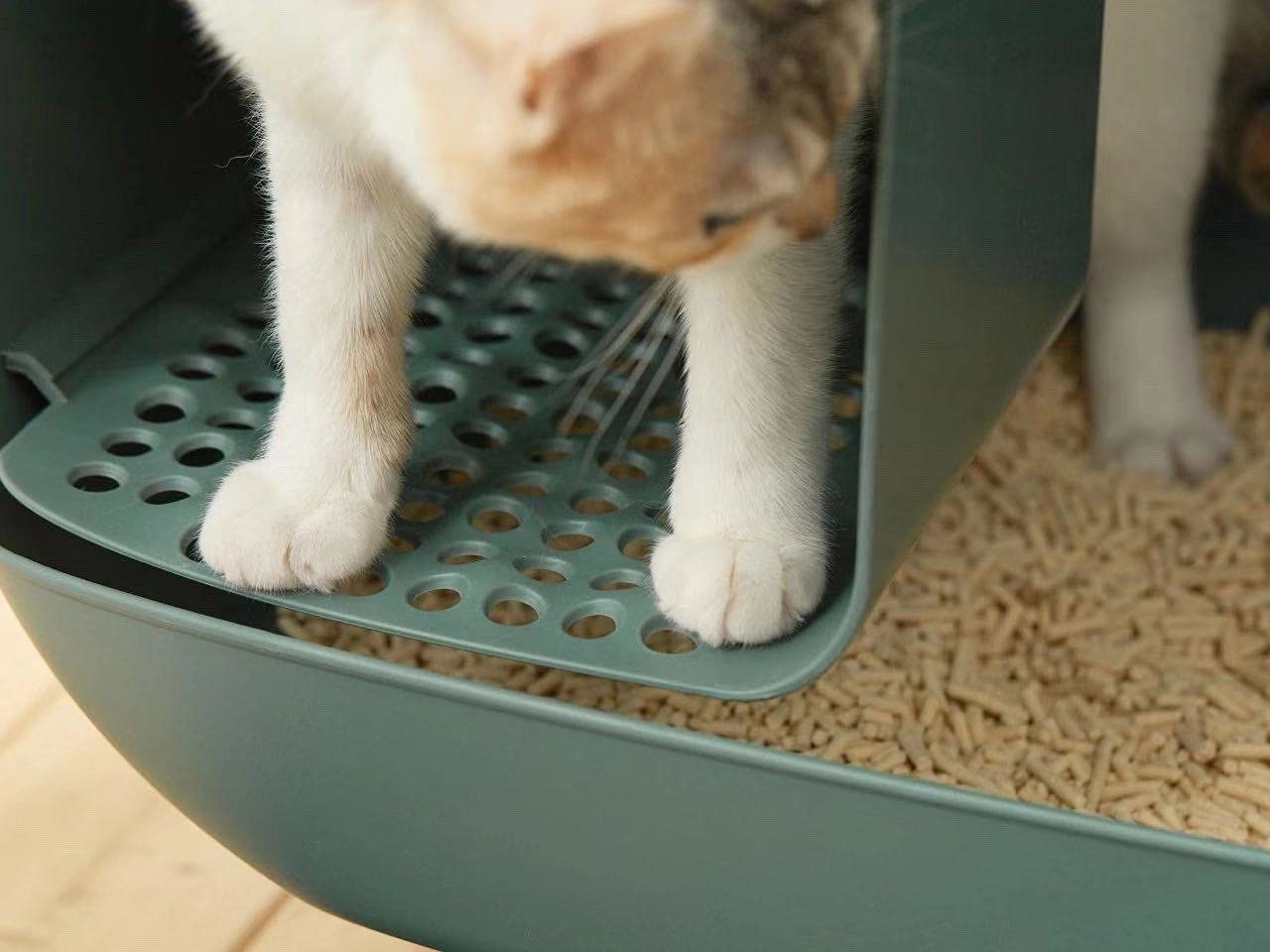 MakeSure cat litter box with drawer - Green - 60 x 38 x 45 cm - Design