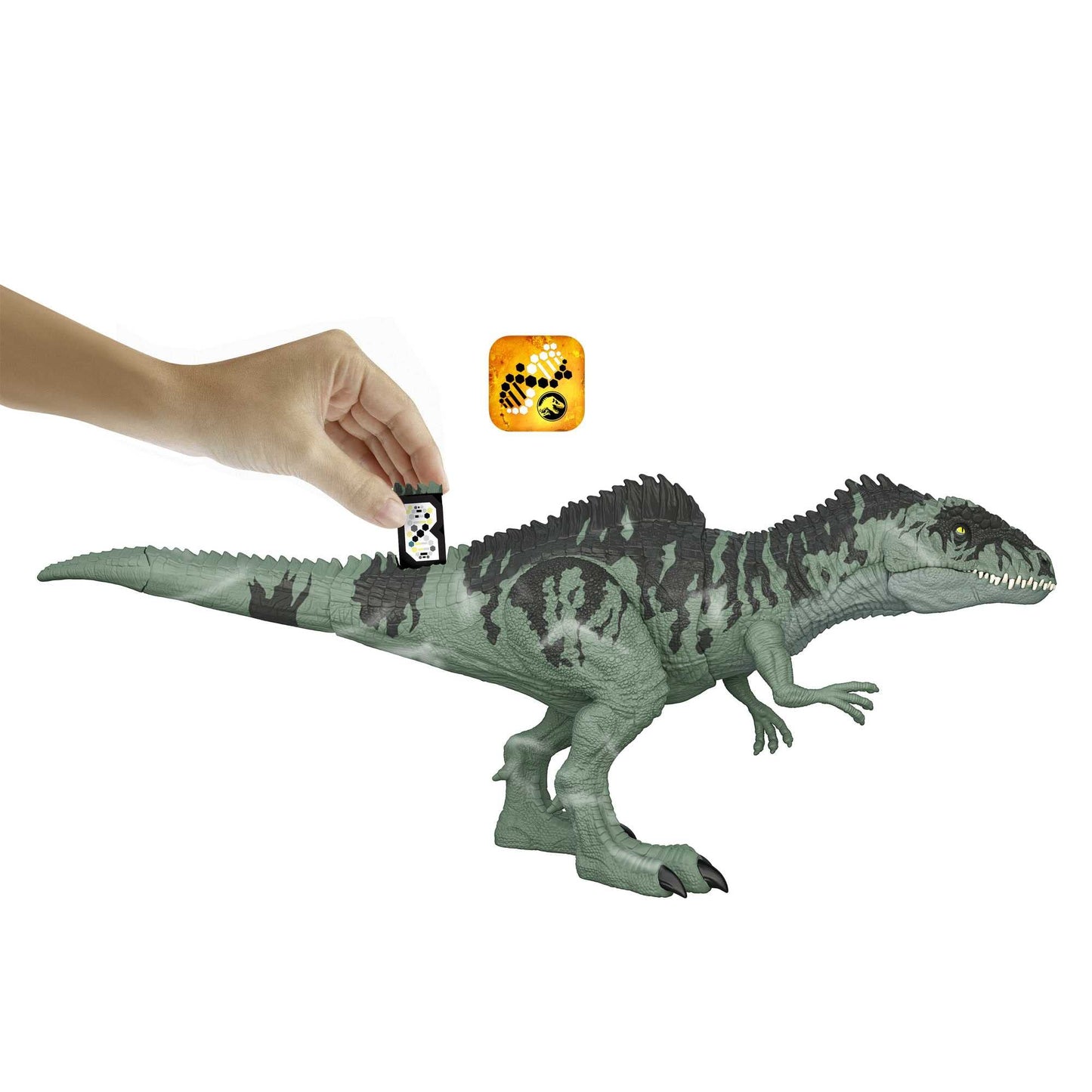JURASSIC WORLD Strike 'N Roar Giganotosaurus - 54 cm dinosaur figure with biting action, roaring sound, realistic details, Augmented Reality with Facts App, for kids 4+. GYC94.