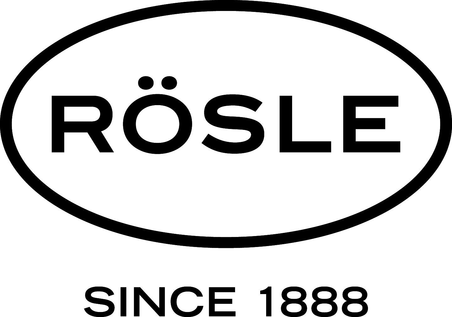 RÖSLE coarse grater, high-quality grater for raw vegetables, potatoes, vegetables or cheese, with silicone base, stainless steel 18/10, including protective cover, 36 x 7.7 x 2 cm, silver-colored
