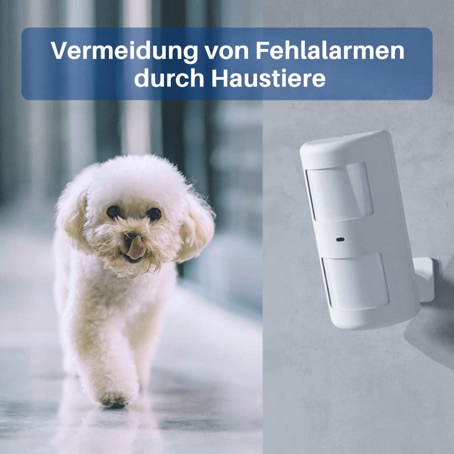 Chuango LTE-400 - WiFi + 4G Alarm System, wireless home security system with base station, 93 db, 2 door/window sensors, pet-friendly motion detector, and 2 handy remote controls.