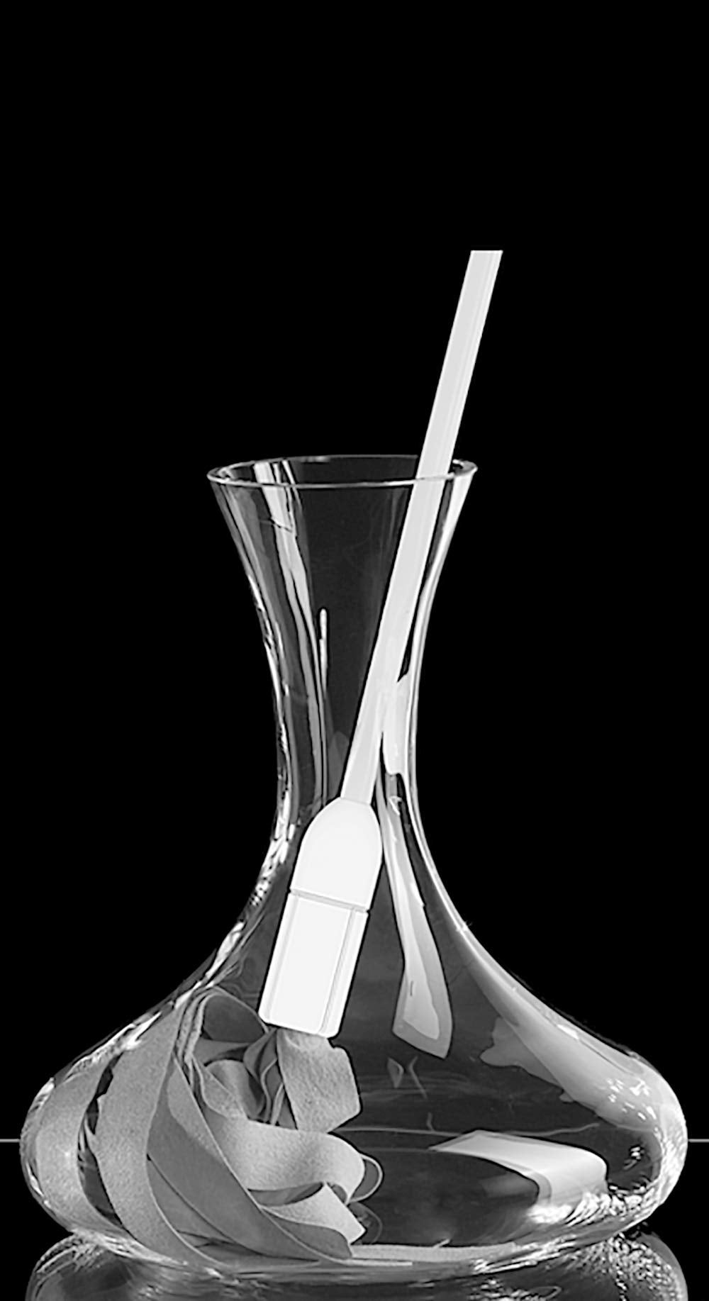 Decanter and vase dryer decanter cleaner from Evonell CleanTwister Color: anthracite