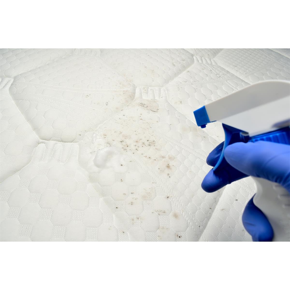 6x AguaNova BubbleEx 400g - against air bubble formation in waterbeds