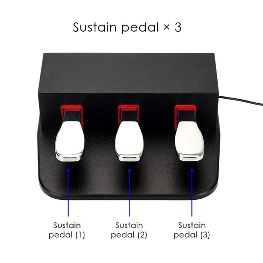 ATNEDCVH Piano 3 Sustain Pedal, Triple Damper Pedal, 6.35mm 1/4 inch plug, universal for electronic keyboards and digital pianos, electric piano, MIDI keyboards, synthesizers (black)