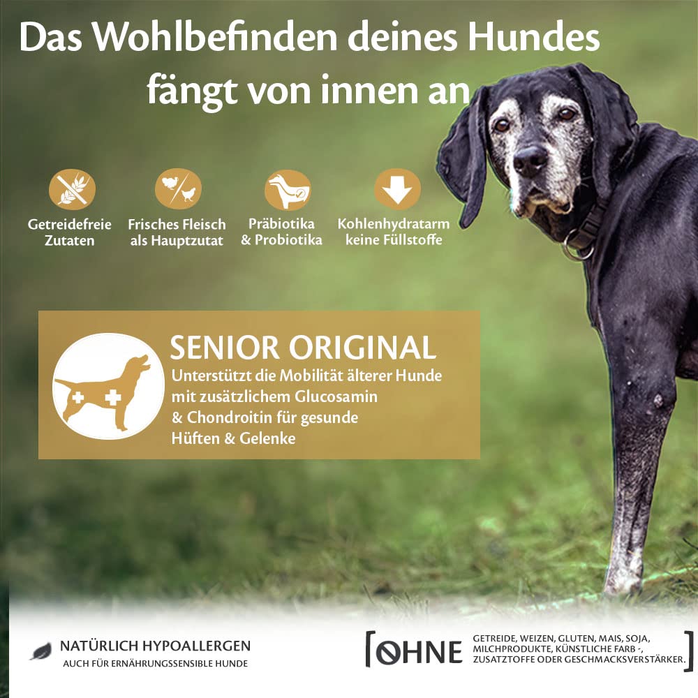 Wellness CORE Senior Original, Turkey & Chicken, 10 kg, dry dog food for aging dogs 7 years+, no added sugar, grain-free, high in meat content.