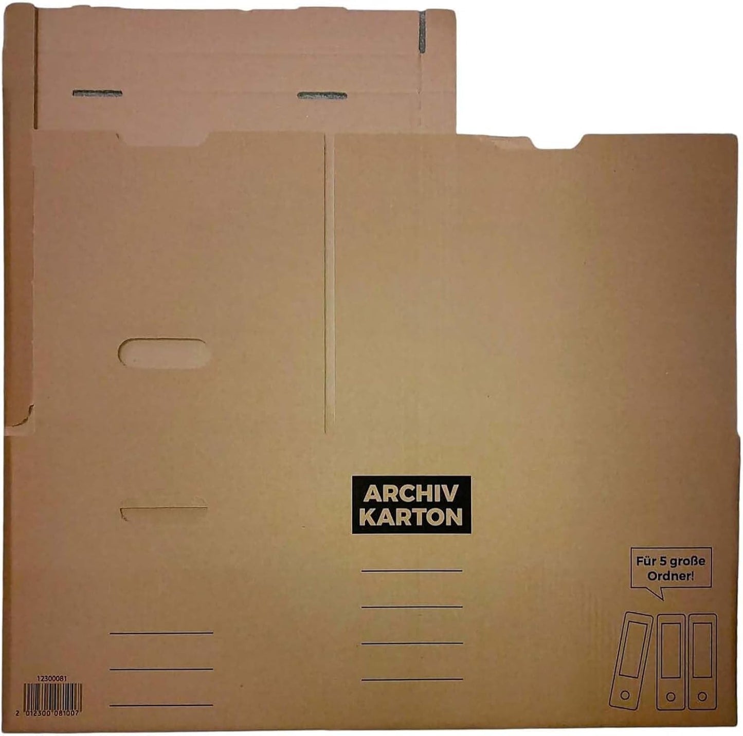 20x Archive Box File Box File Folder with Flap Lid and Bottom - for 5 large A4 files each for storage organization transport archive box