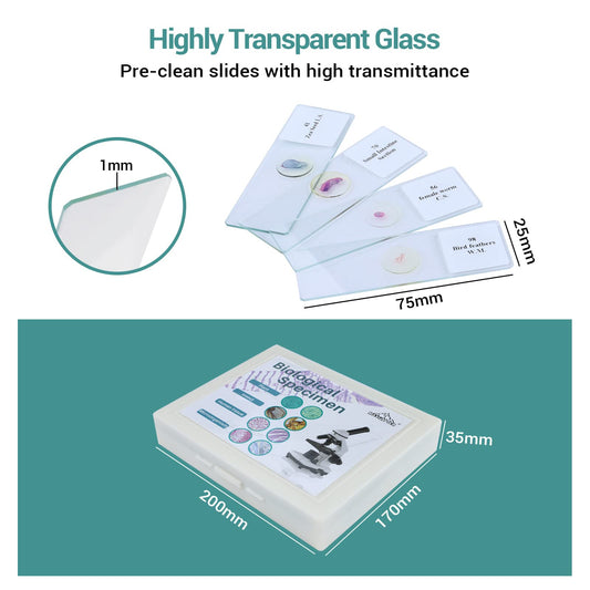 100 microscope slides specimens, microscope slides with biological samples, insects, plants, human cells for children, students, education, and scientific research.